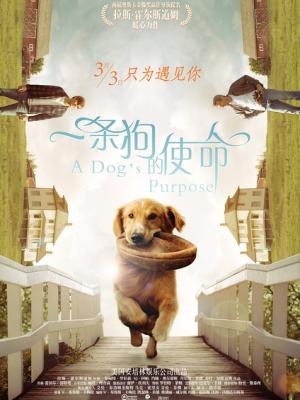 共鸣残响 动漫封面